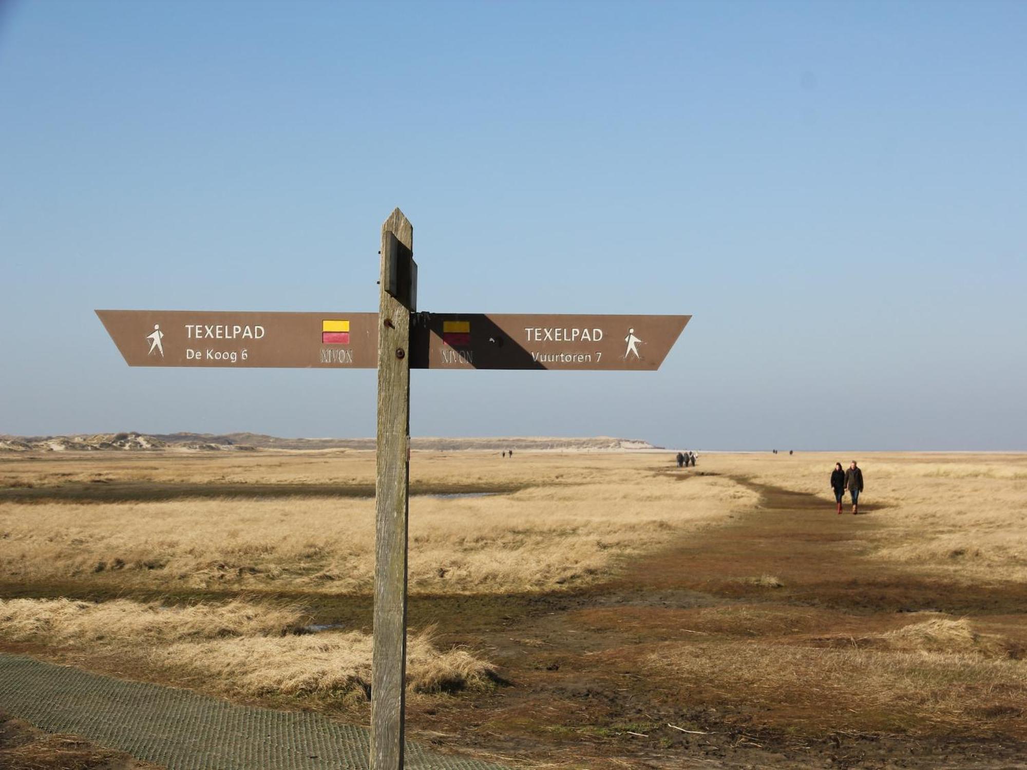 Lovely Holiday Home In Texel Near Sea Oost  Exterior foto
